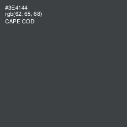 #3E4144 - Cape Cod Color Image